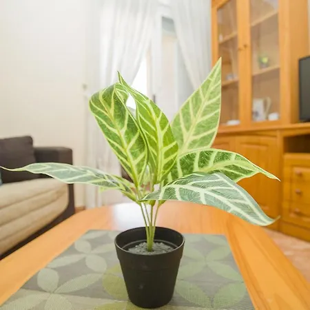 Apartment 141 Rambla Place - Alicante
